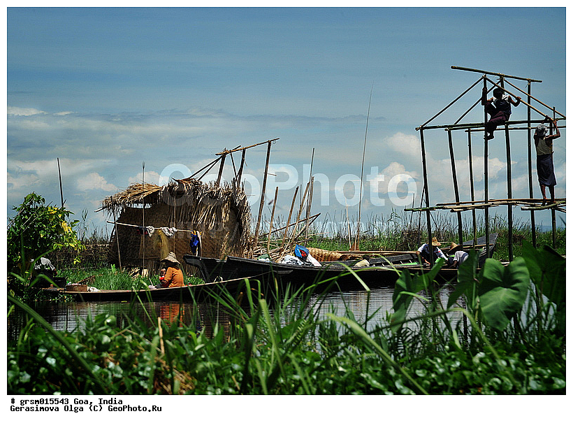 �����, ����, ������, ��� �� ����, �����, �����