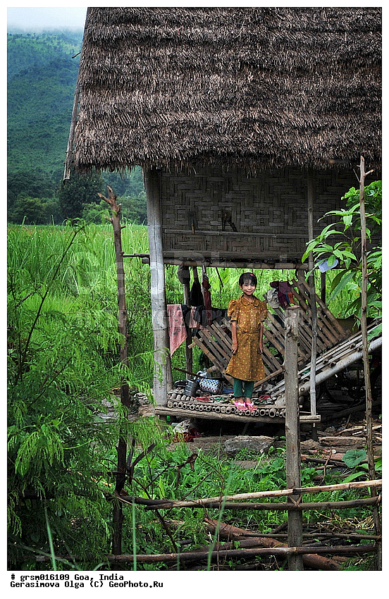 �����, ������, ���, �����, ����������� ����, �������, ����������� ���� �����