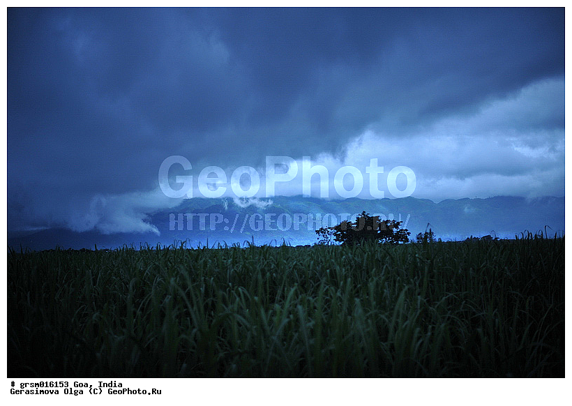 �����, ������