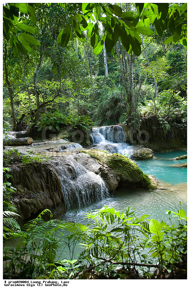 �������, ��� �������, ���� 