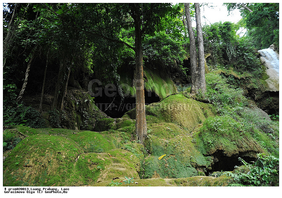 �������, ��� �������, ���� 