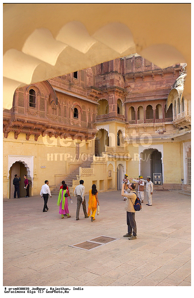 ��������, ���������, �����