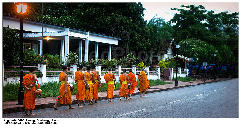 ����� ������, ����