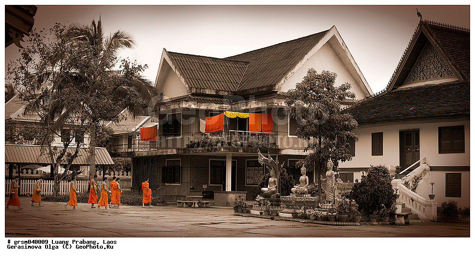 ����� ������, ����