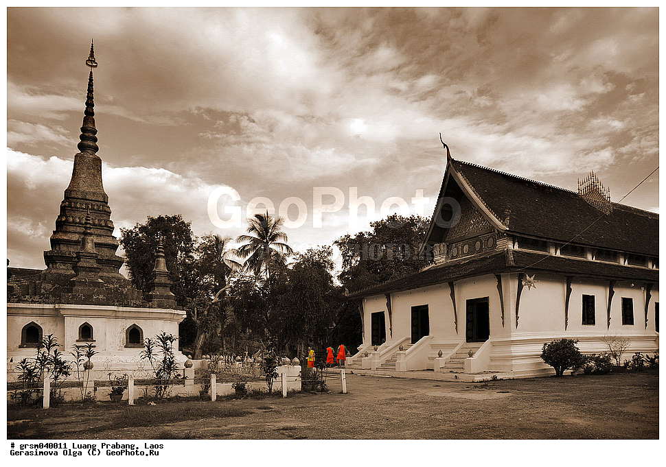 ����� ������, ����