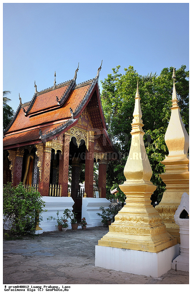 ����� ������, ����