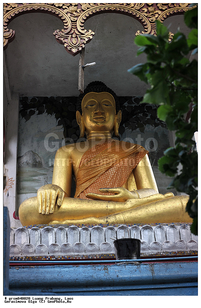 ����� ������, ����