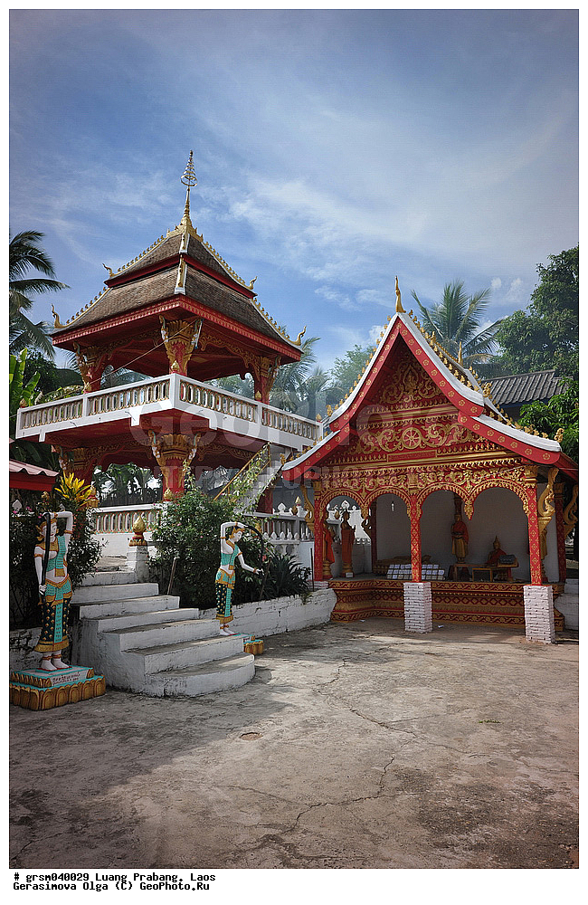 ����� ������, ����