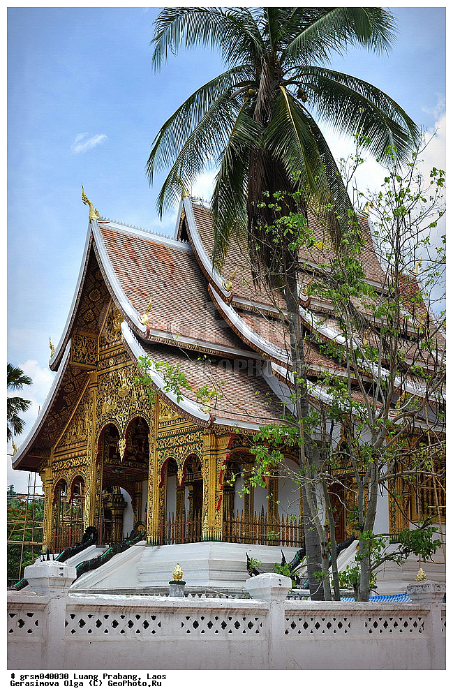 ����� ������, ����