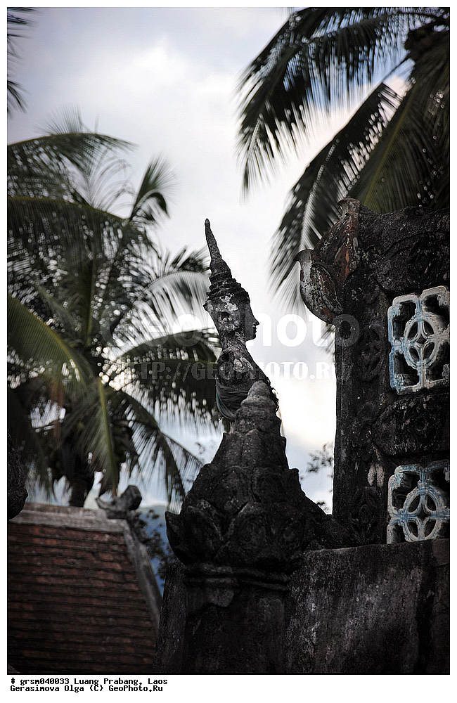 ����� ������, ����