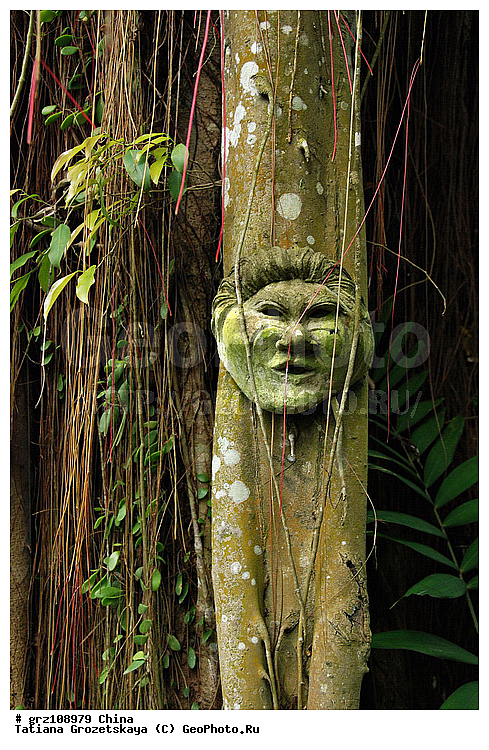 ����, ���������, �����, ����, ��������, �������, ����������, ������, �������, �������, �������, �������, �������, ����, ��������, ��������, ��������, ��������, �����, ���, �����, �����, ���, ����, �����, ������, ������� ������, ��������, ������, ������, ������, ������, �����, �����, �������, �����������, �����������, ����, ���������, ����