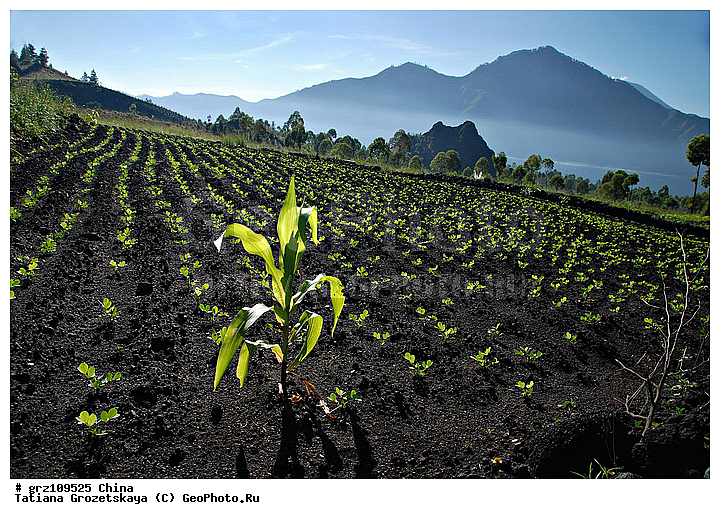 ����, ���������, ������, ������, �������������, �����, ��������, ���������� ������, ������, ������, �����������, �������� �������, ����, ����, �����, �������, ������, �������� ���������, ��������� ����