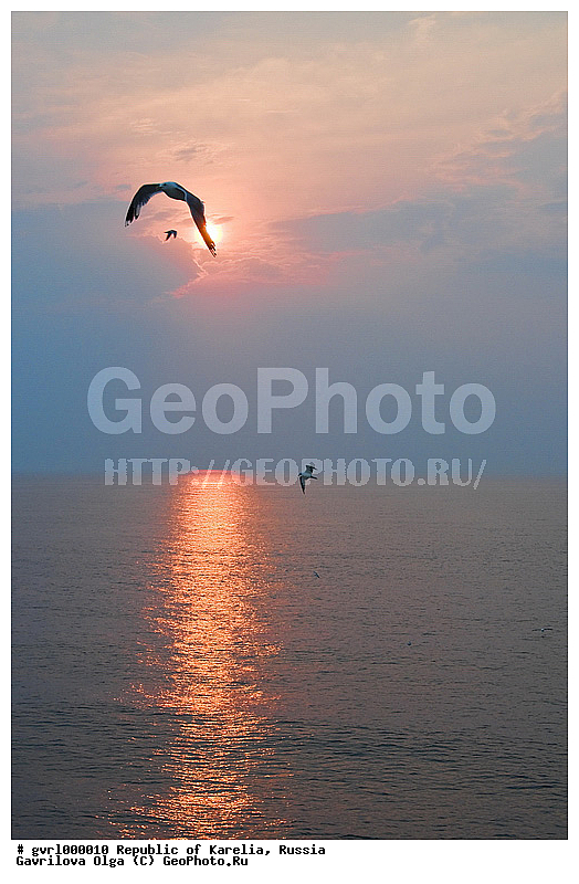 ������, �������, ����, ������, ���������, ����, �����, ���������, �����, �������, ������, �����