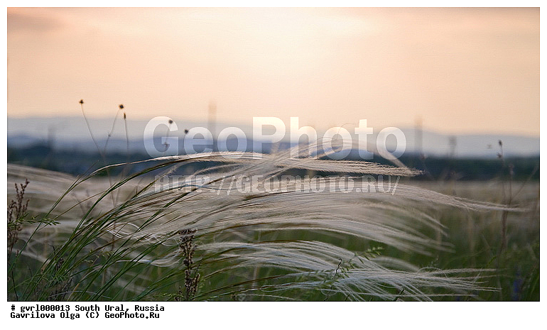 ����, ����� ����, �����, ������, �����, �������, ������, ������, ����, �����, ������, �������, �����