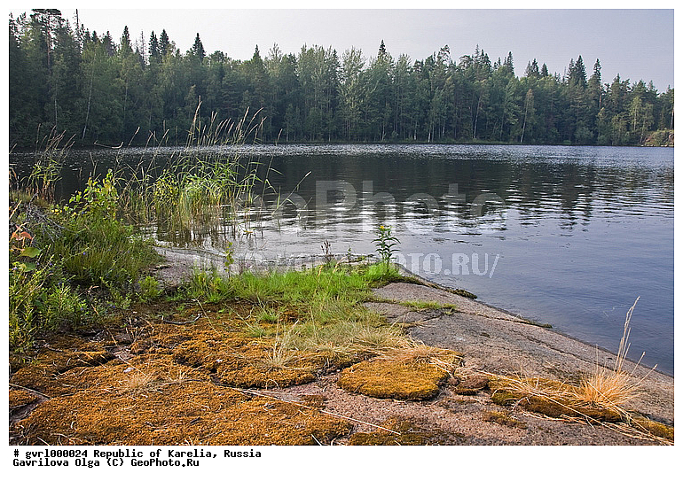 ������, �������, ������, �����, �������, �����, ���, �����, ������, ��������