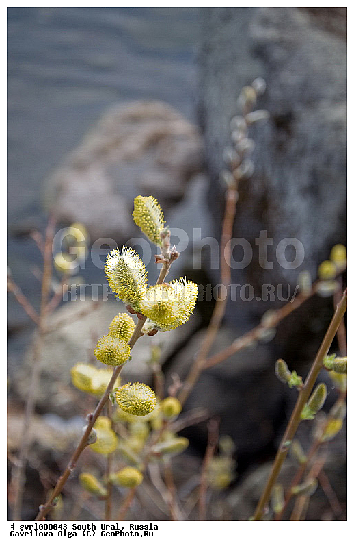 ����, ����� ����, �����, ������, �������, �����, ������, �������, ��������, �����