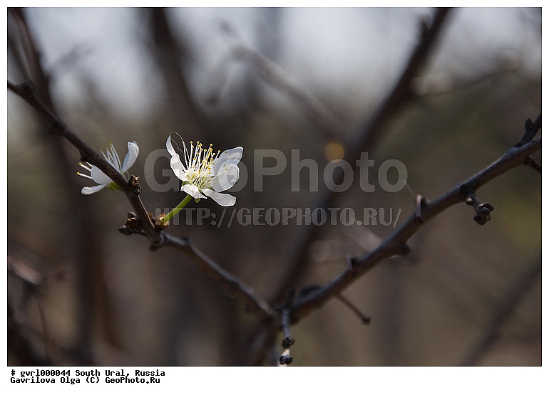 ����, ����� ����, �����, ��������, �����, �����, ������, ������, ������, �������, ����, ������