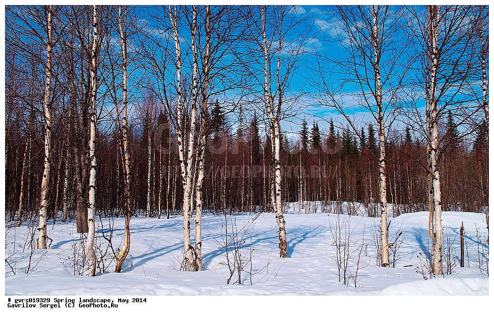 �����, ������, ���, ����, ���������� ����, ����, ����, ���-�