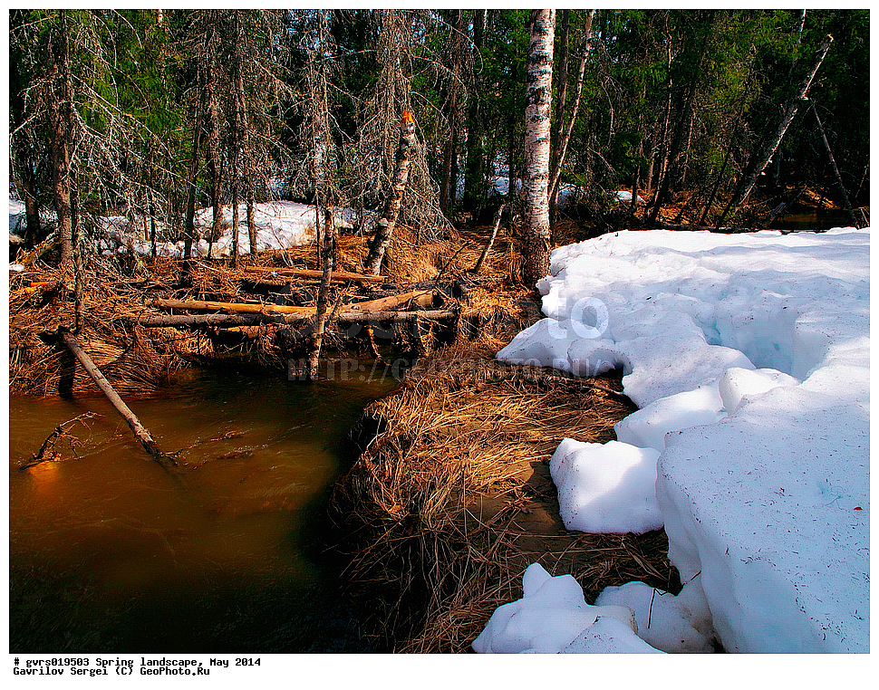 �����, ������, ���, ����, ���������� ����, ����, ����, ���-�