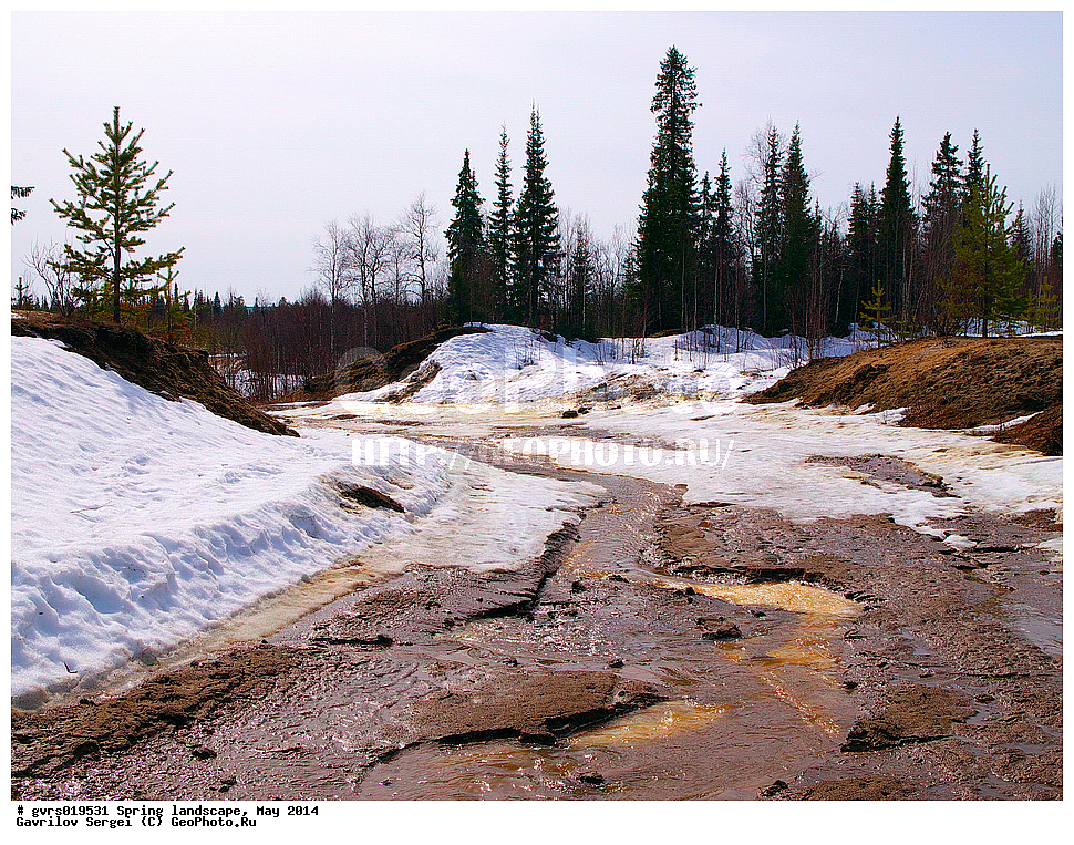 �����, ������, ���, ����, ���������� ����, ����, ����, ���-�