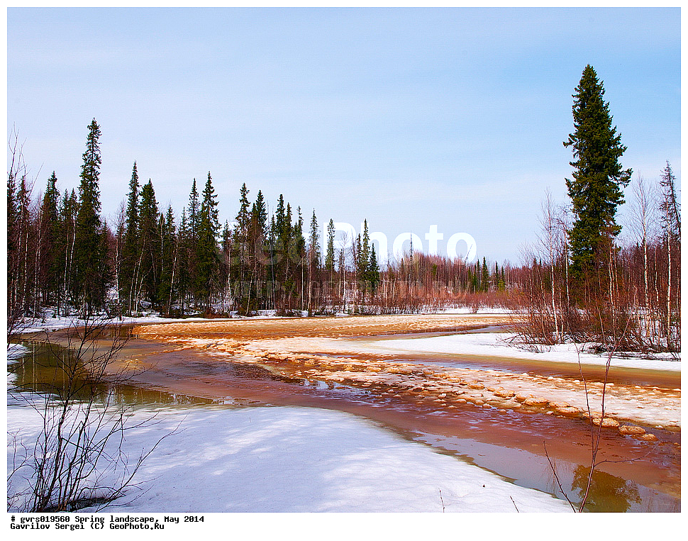 �����, ������, ���, ����, ���������� ����, ����, ����, ���-�