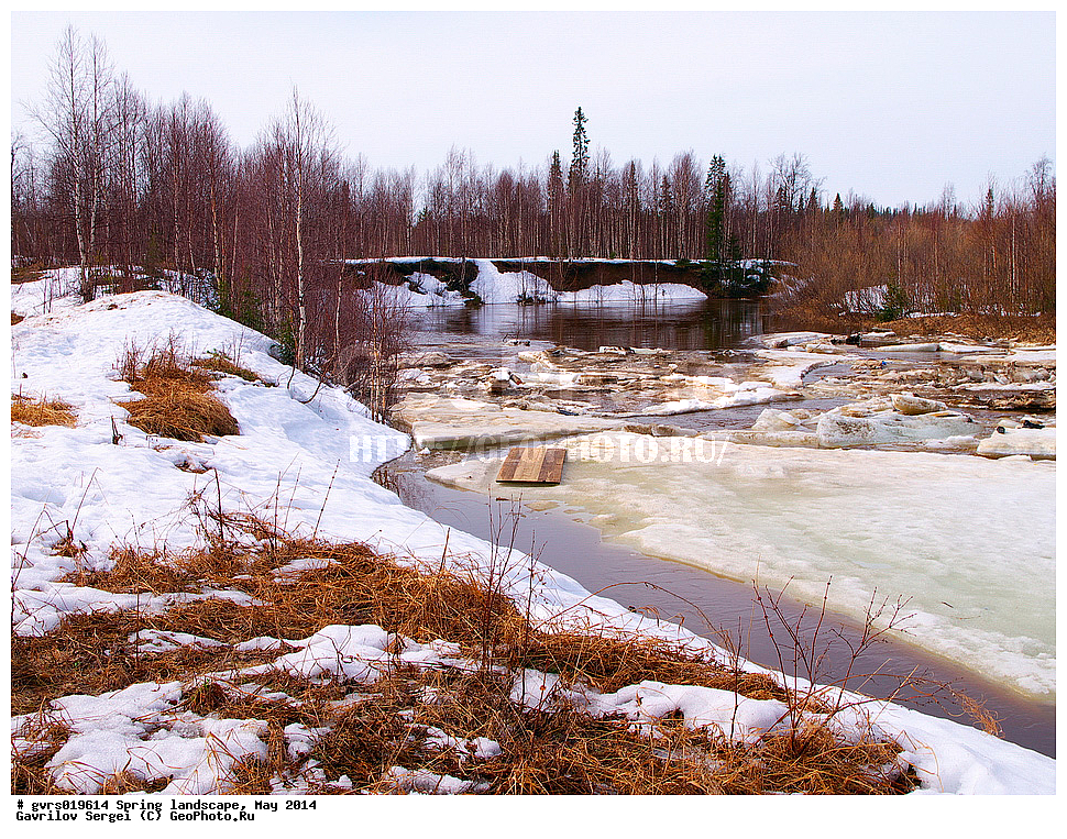 �����, ������, ���, ����, ���������� ����, ����, ����, ���-�