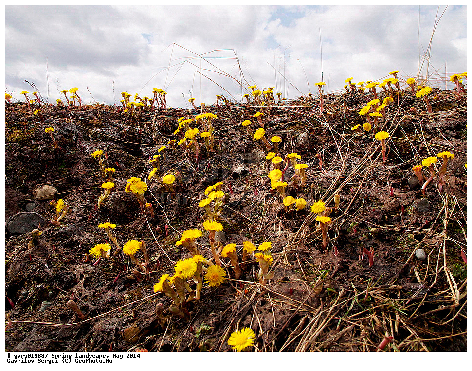 �����, ������, ���, ����, ���������� ����, ����, ����, ���-�