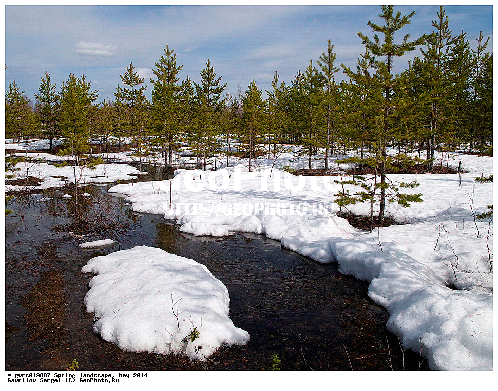 �����, ������, ���, ����, ���������� ����, ����, ����, ���-�