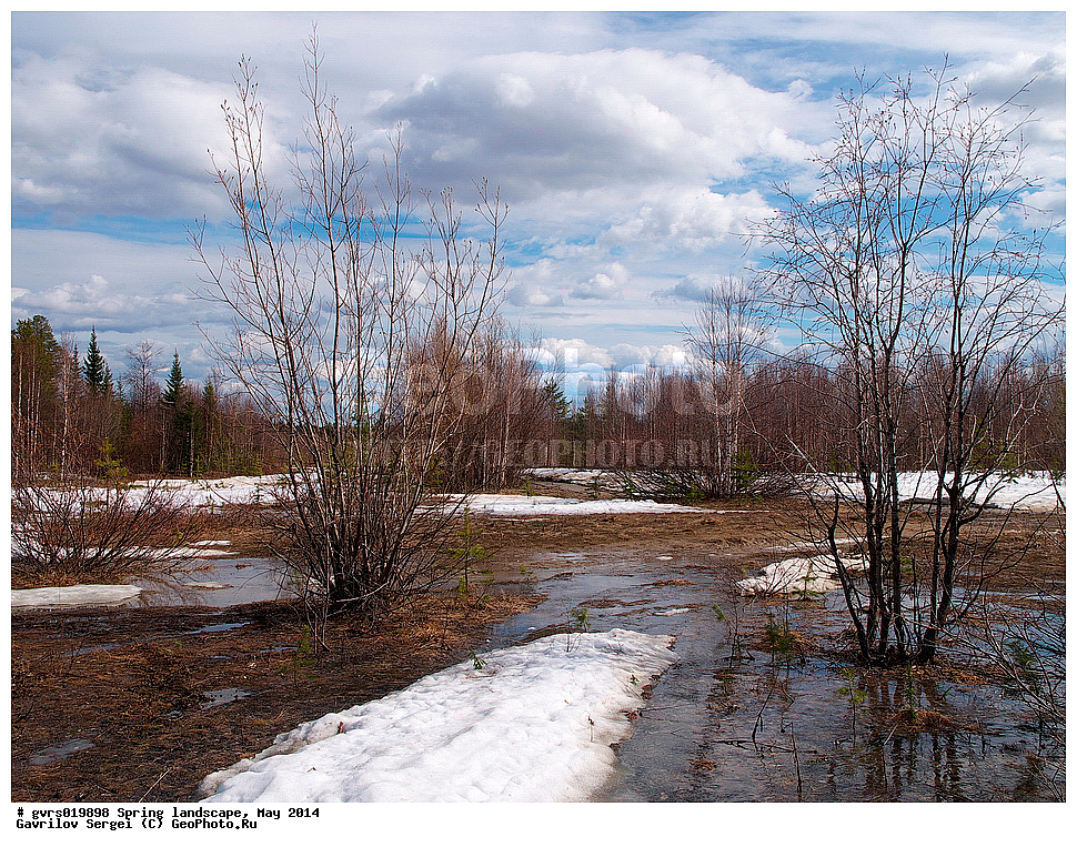 �����, ������, ���, ����, ���������� ����, ����, ����, ���-�