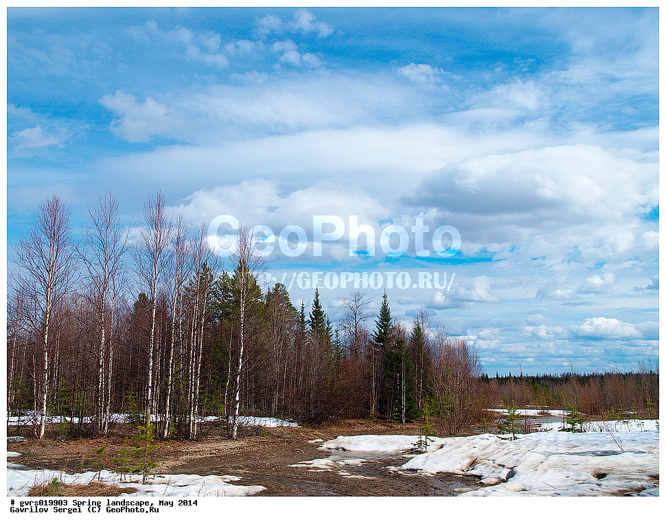 �����, ������, ���, ����, ���������� ����, ����, ����, ���-�