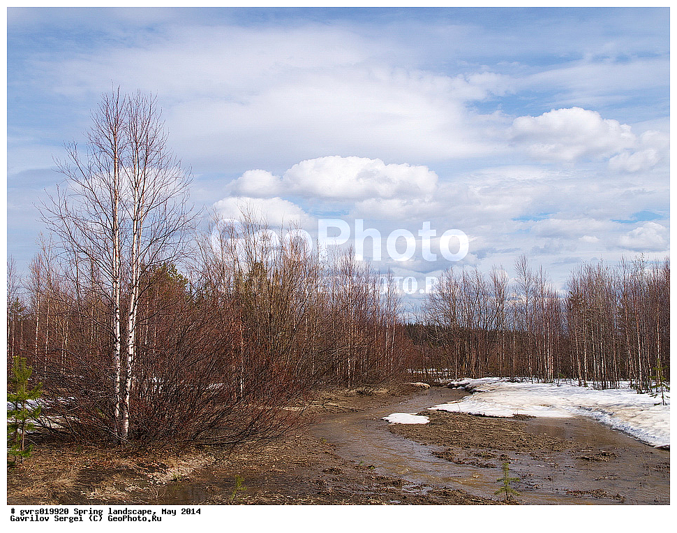 �����, ������, ���, ����, ���������� ����, ����, ����, ���-�