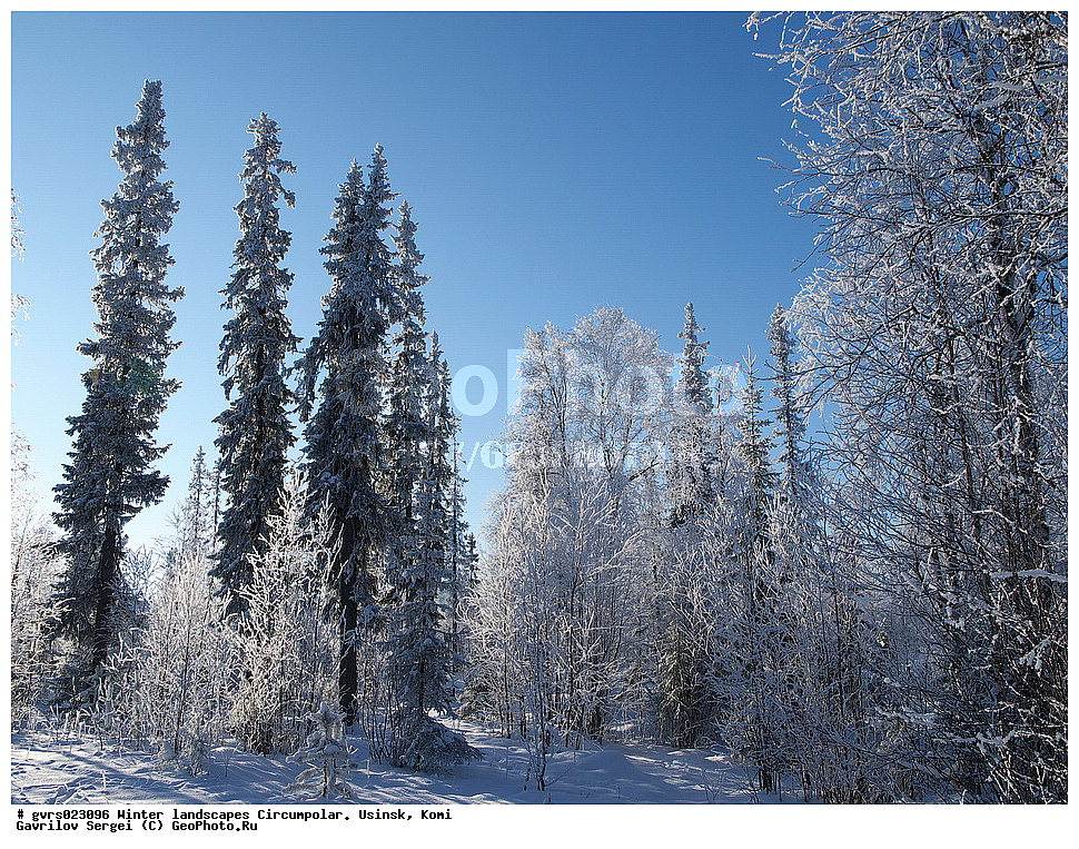 ����, ������, ����������, ������, ����, ����