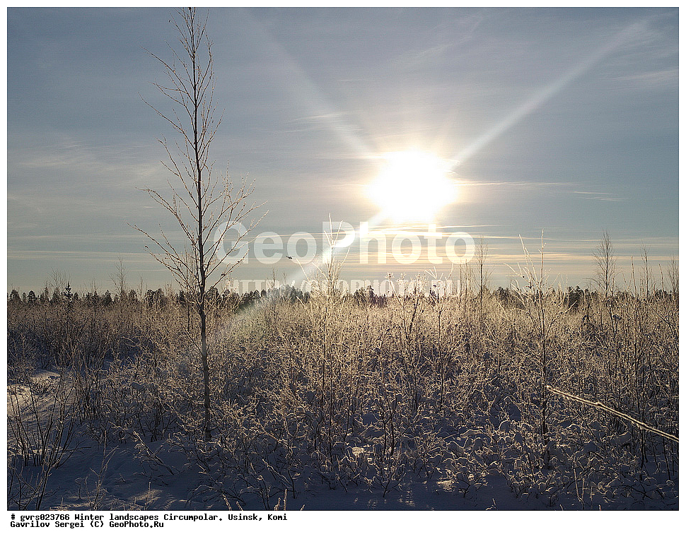 ����, ������, ����������, ������, ����, ����