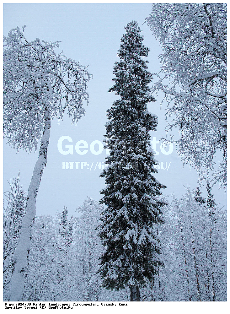 ����, ������, ����������, ������, ����, ����