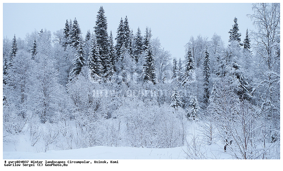 ����, ������, ����������, ������, ����, ����