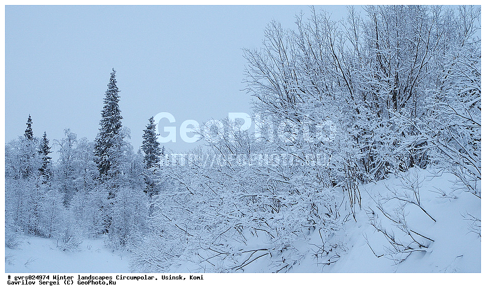 ����, ������, ����������, ������, ����, ����