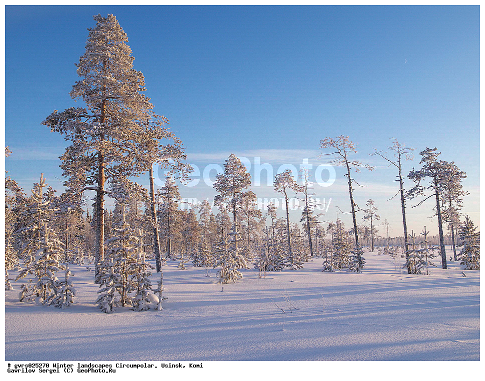 ����, ������, ����������, ������, ����, ����