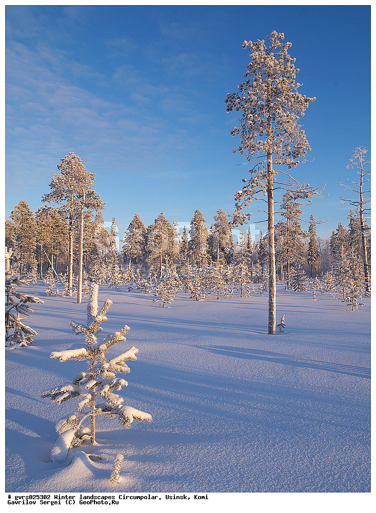 ����, ������, ����������, ������, ����, ����