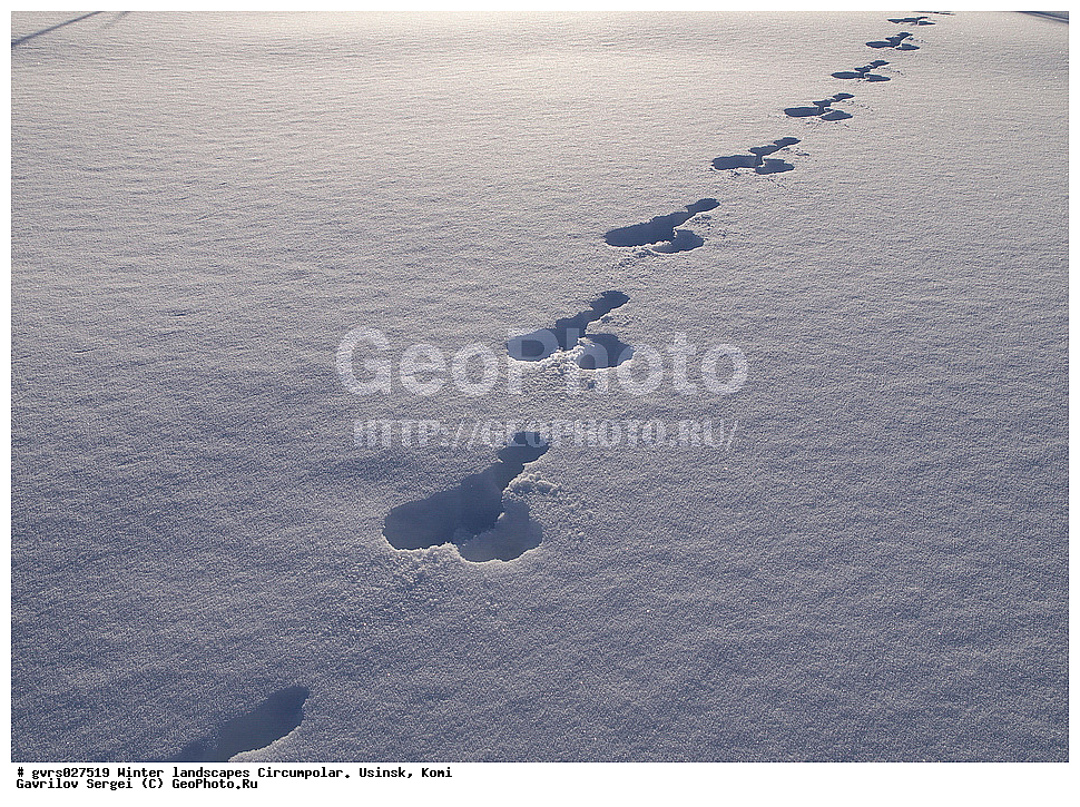 ����, ������, ����������, ������, ����, ����