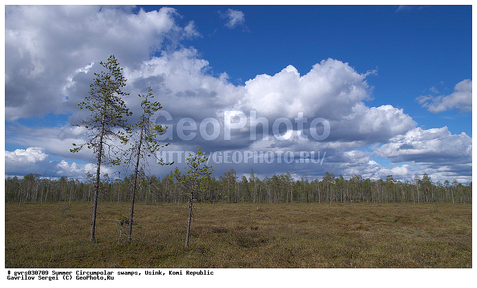 ����, ������, ����������, ������, ����