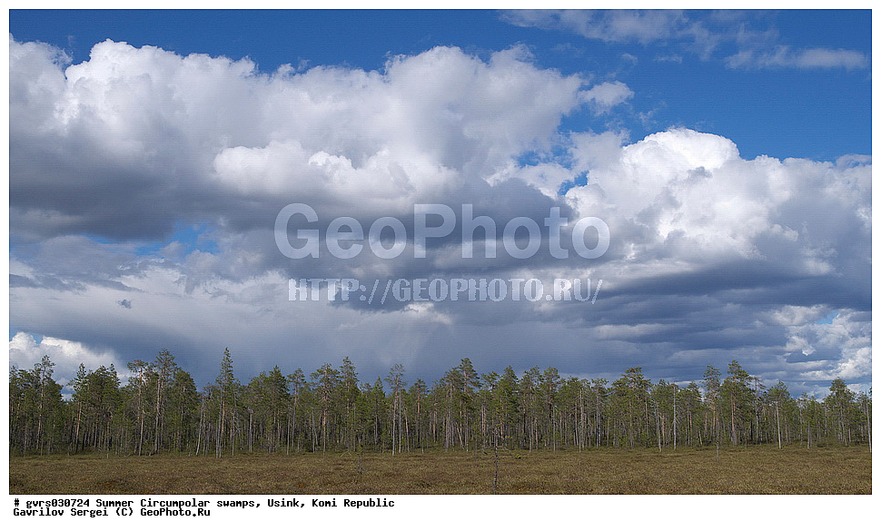 ����, ������, ����������, ������, ����