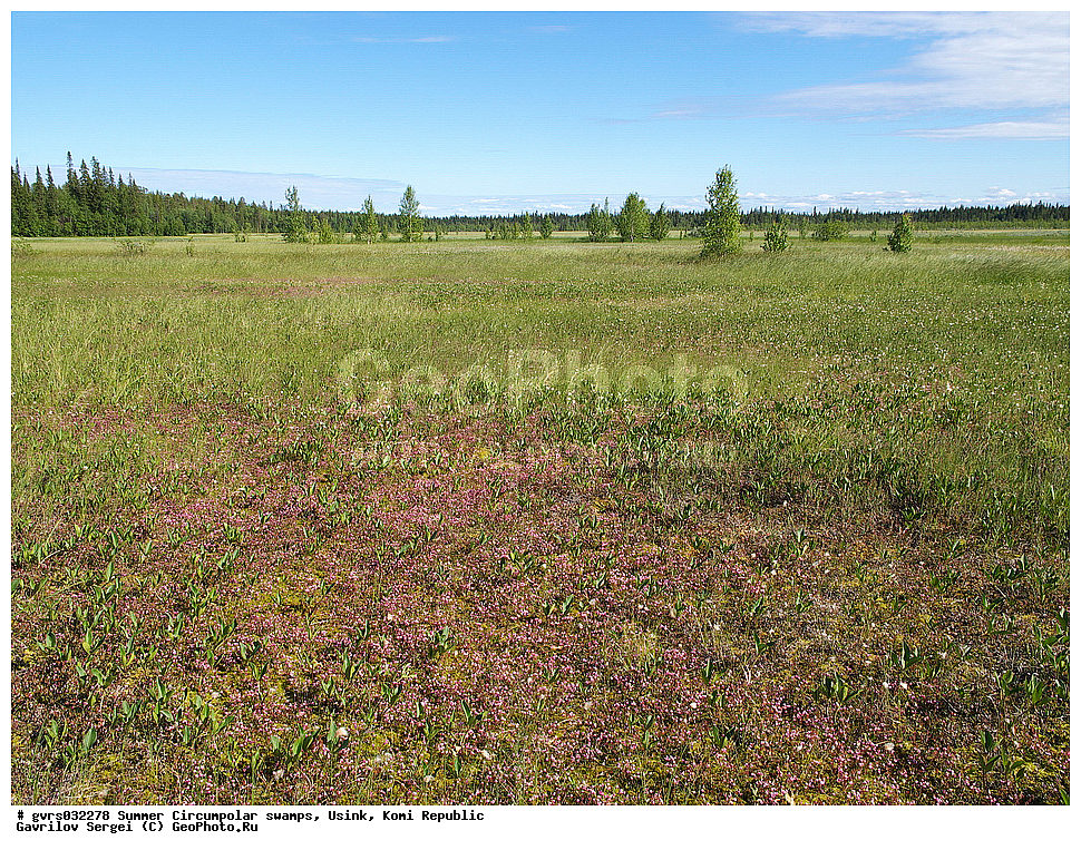 ����, ������, ����������, ������, ����