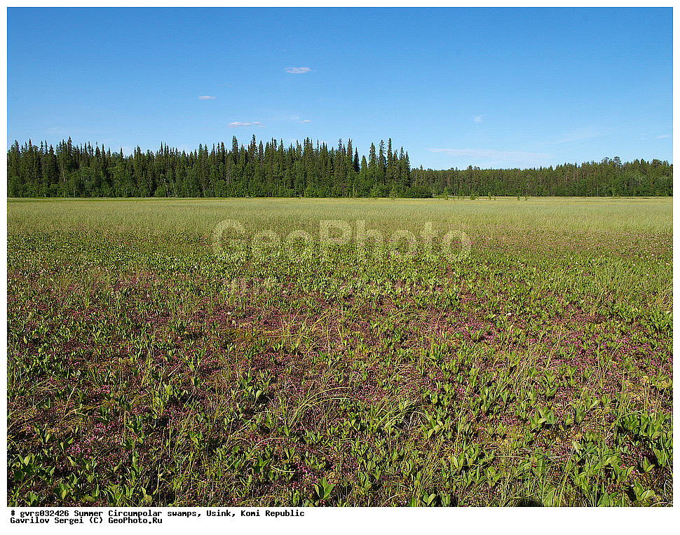 ����, ������, ����������, ������, ����