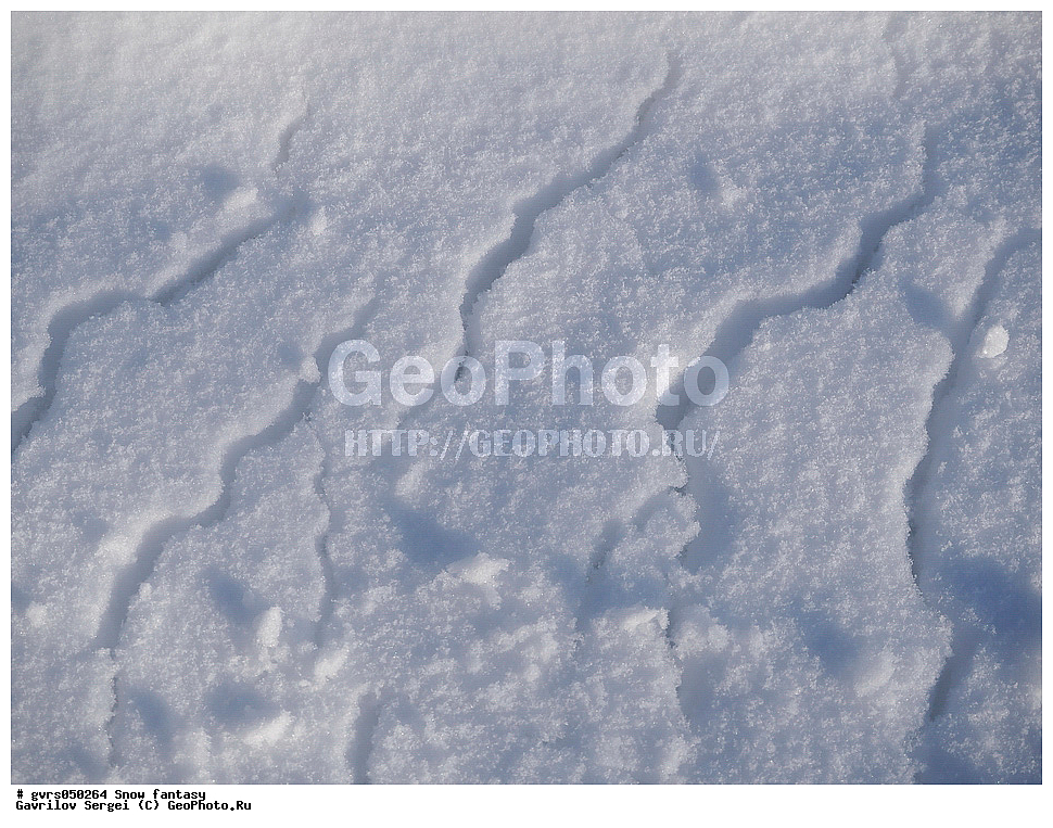 ����, �������, ������� ��������, ��������, ����