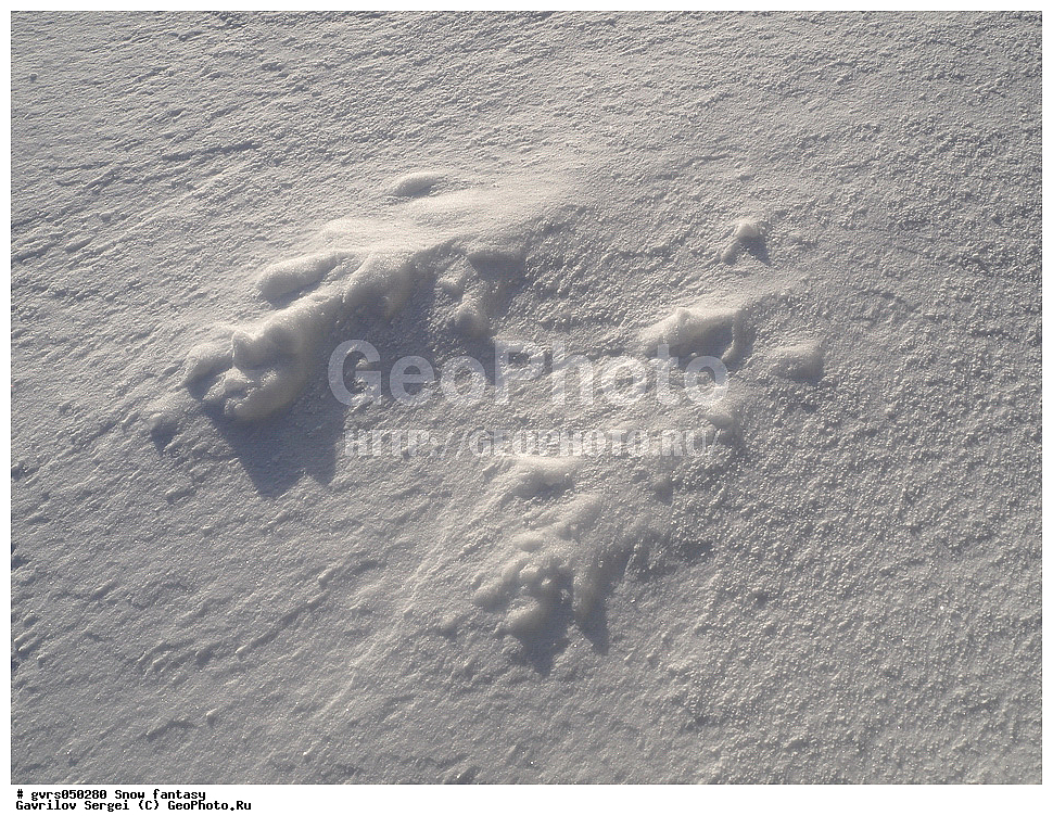 ����, �������, ������� ��������, ��������, ����