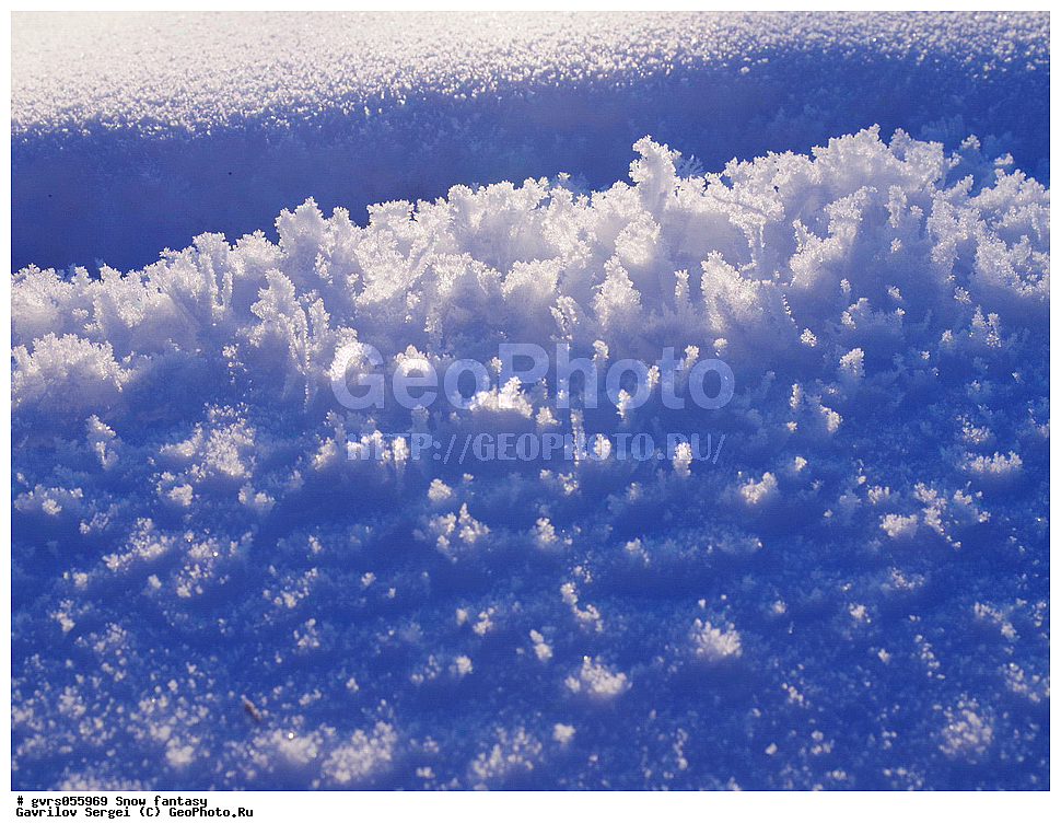 ����, �������, ������� ��������, ��������, ����