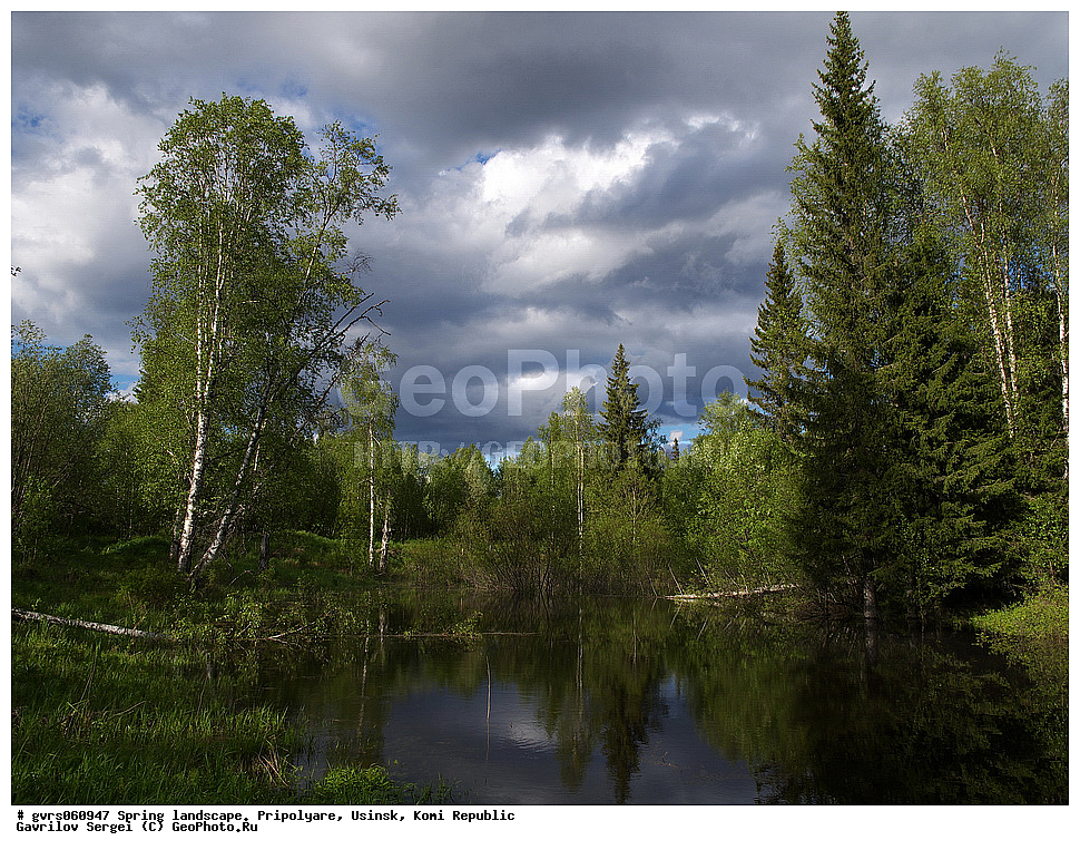 �����, ������, ����������, ������, ����