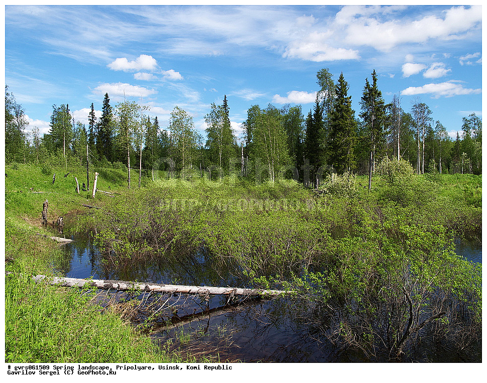 �����, ������, ����������, ������, ����