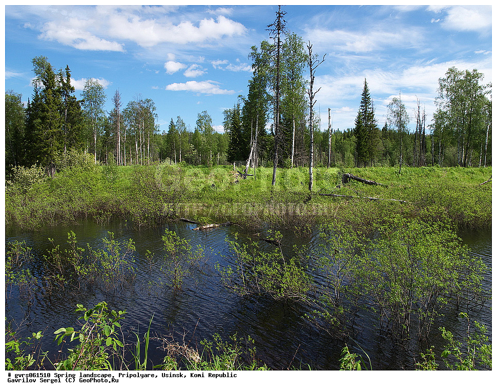 �����, ������, ����������, ������, ����