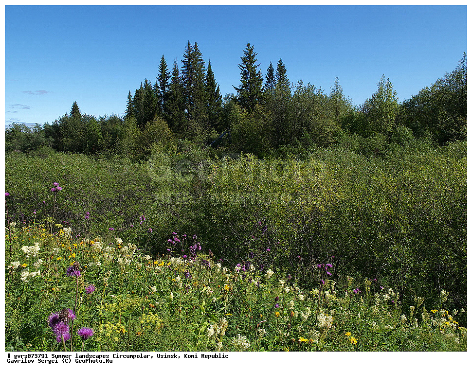 ����, ������, ����������, ������, ����